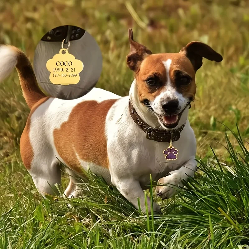 犬猫用ネームタグ、電話番号入り、カスタム刻印亜鉛合金ペットI - Phone Accessories And Names のレビューと価格